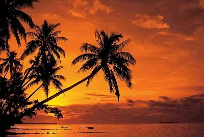 ×©×§×™×¢×” jigsaw puzzle