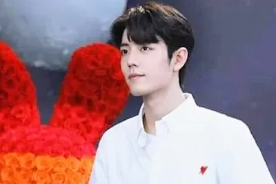 Chinese actor  Xiao Zhan