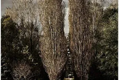 autunno in lessinia ,Verona