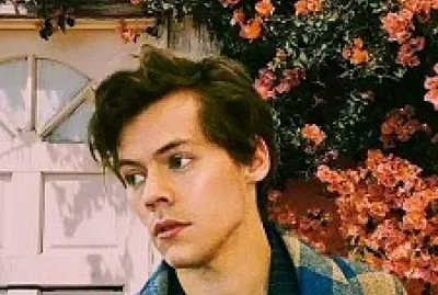 harry styles