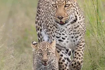 Tal para cual â¤ï¸