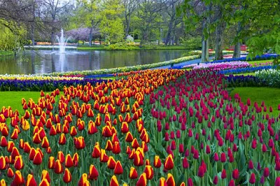 פאזל של Holanda