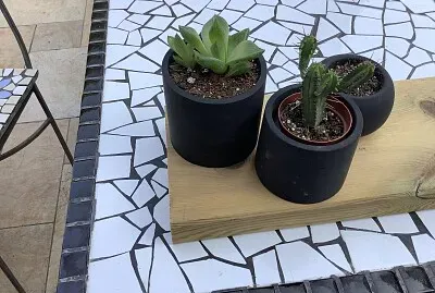 ×¢×¦×™×¥ jigsaw puzzle