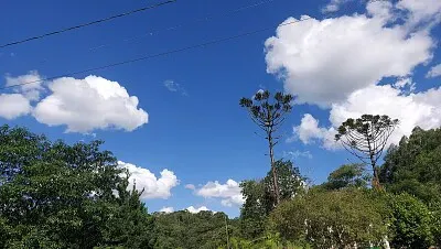 Natureza Pura jigsaw puzzle