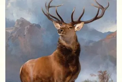 MONARCH OF THE GLEN