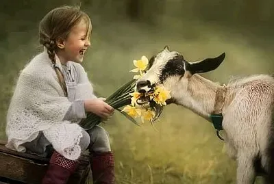 persona jigsaw puzzle