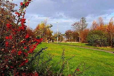 Cotmanhay Linear Park