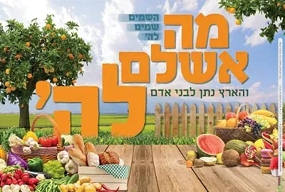 ×”×¨×›×™×‘×• ××ª ×”×¤××–×œ