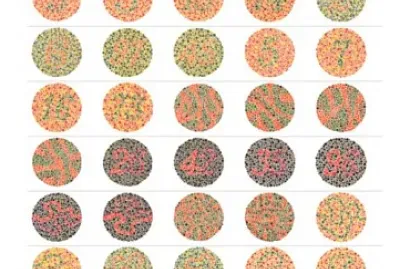 פאזל של Colour Vision Test