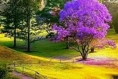 Paisaje colorido jigsaw puzzle