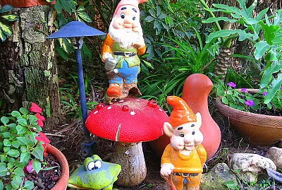 ×’×ž×“×™× ×•×¤×˜×¨×™×”