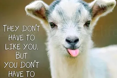 Goat Funny jigsaw puzzle