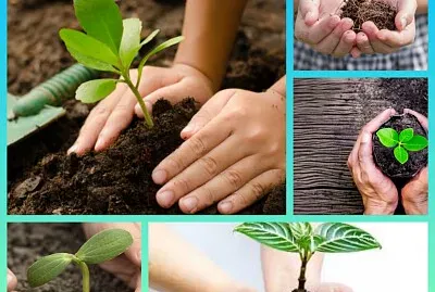 ×©×ª×™×œ×™×