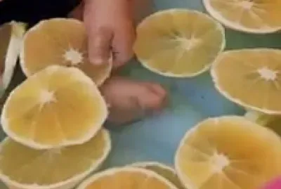 Frutas