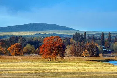 Autumn Scotland