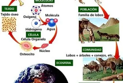 CIENCIAS NATURALES 1RO BÃSICO