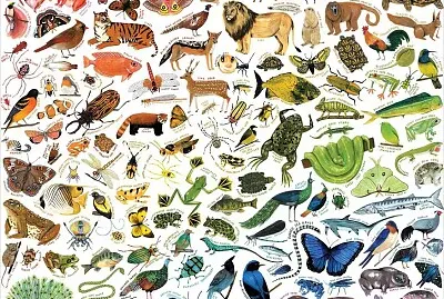 animals jigsaw puzzle
