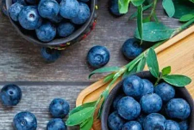 arandanos jigsaw puzzle