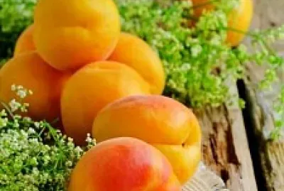 פאזל של duraznos