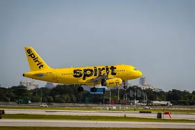 spirit jigsaw puzzle