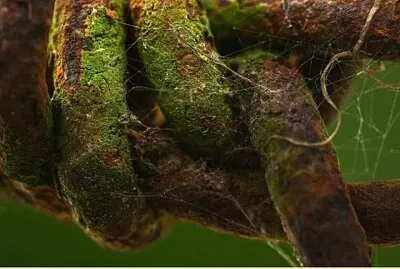 Arma el siguiente rompecabezas