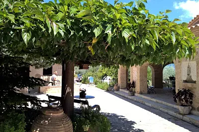 Big Tree / groÃŸer Baum jigsaw puzzle