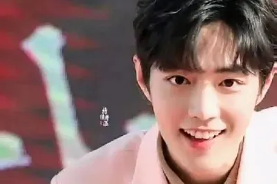 Xiao Zhan (Growth history) jigsaw puzzle