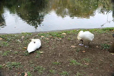 St. James Park, London, UK