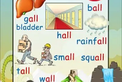 ?What do they have in common