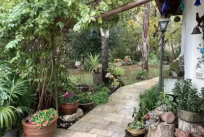 ×’×™× ×” ×‘×—×•×¨×£ jigsaw puzzle