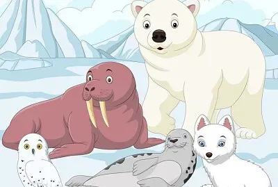 Ce animale ai identificat?