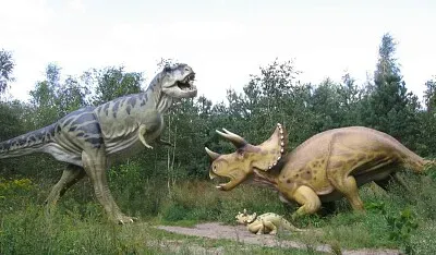 Dana Morariu jigsaw puzzle