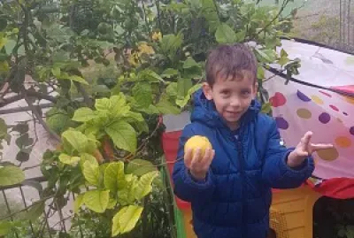 ××œ×™××‘