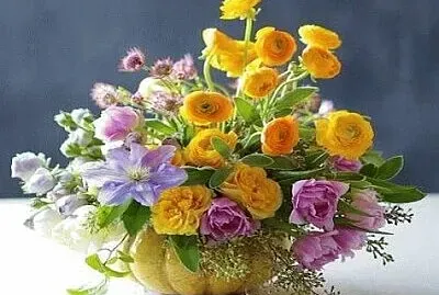 פאזל של Imagem