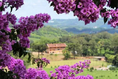 imagem jigsaw puzzle