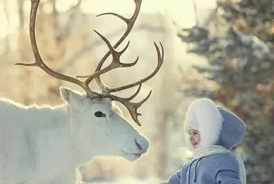 imagem jigsaw puzzle