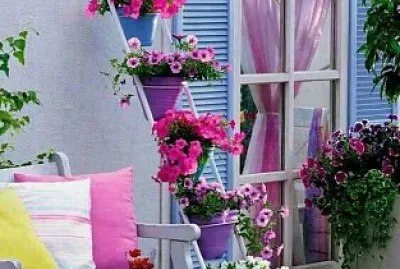 terraza jigsaw puzzle