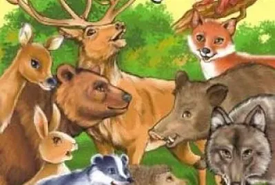 animals jigsaw puzzle