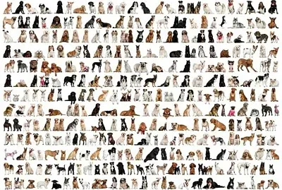 Dog Puzzle