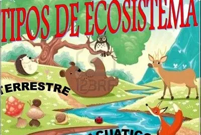 Ciencias Sociales jigsaw puzzle