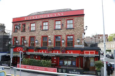 Becky Morgans, Dublin, Ireland jigsaw puzzle