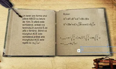 proiect jigsaw puzzle