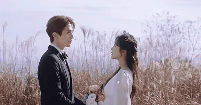 tale of the nine tailed jigsaw puzzle