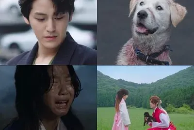 tale of the nine tailed