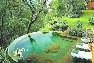 jardÃ­n jigsaw puzzle