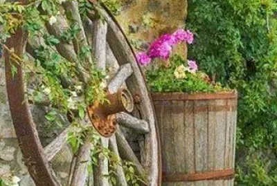 jardÃ­n jigsaw puzzle