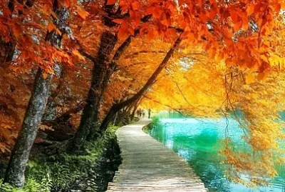 paisaje jigsaw puzzle