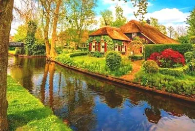 animales jigsaw puzzle