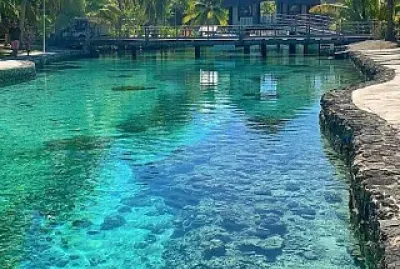 animales jigsaw puzzle