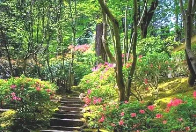 jardÃ­n